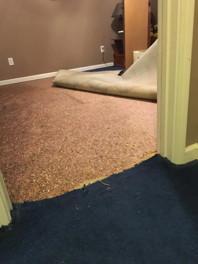 Carpet pad removal revealing water damage during Water Mitigation Services in Naples Manor