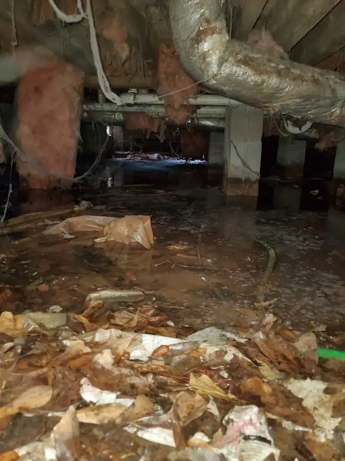 Crawl space flood assessment for Commercial Water Damage Restoration in Naples Manor