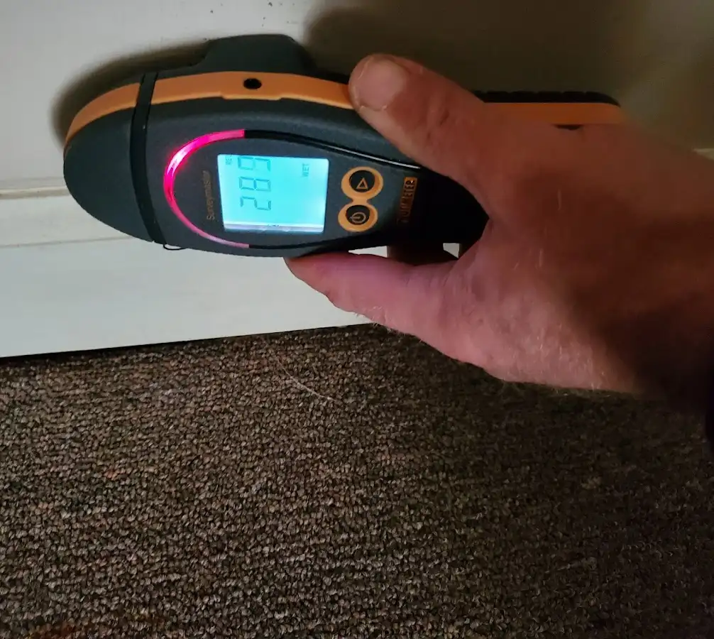 Moisture detection at baseboard during Burst Pipe Cleanup in Naples Manor